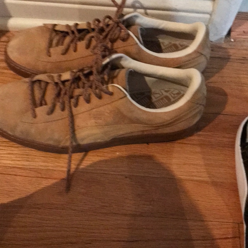 Pumas - Picture 2 of 4